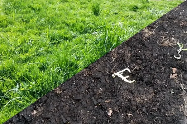 Artificial Turf Removal and Disposal in Pearland, TX